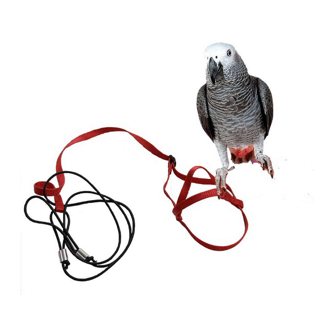E-shop Traky pre papagáje červené M