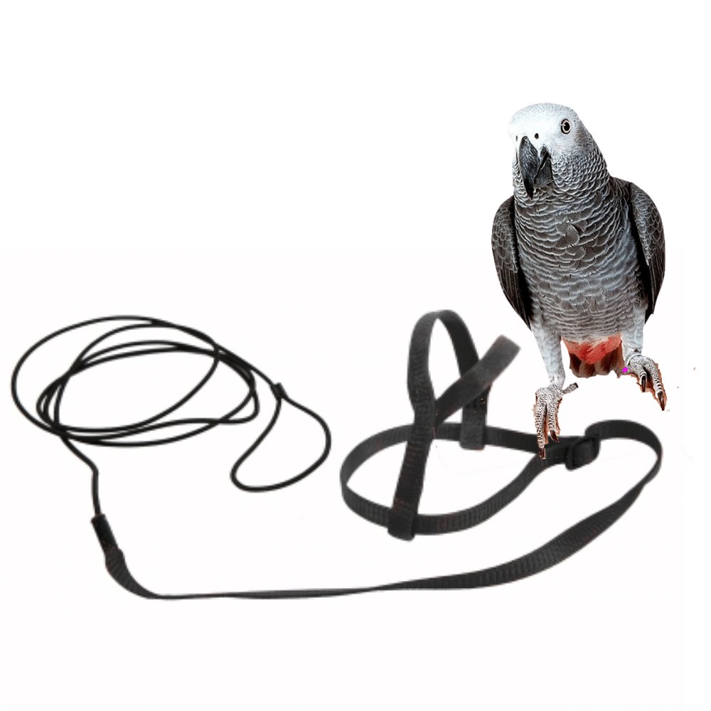 E-shop Traky pre papagáje čierne M