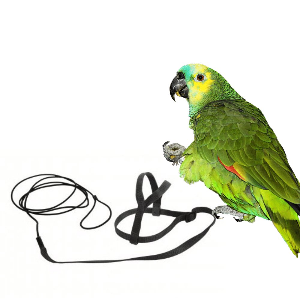 E-shop Traky pre papagáje S čierne