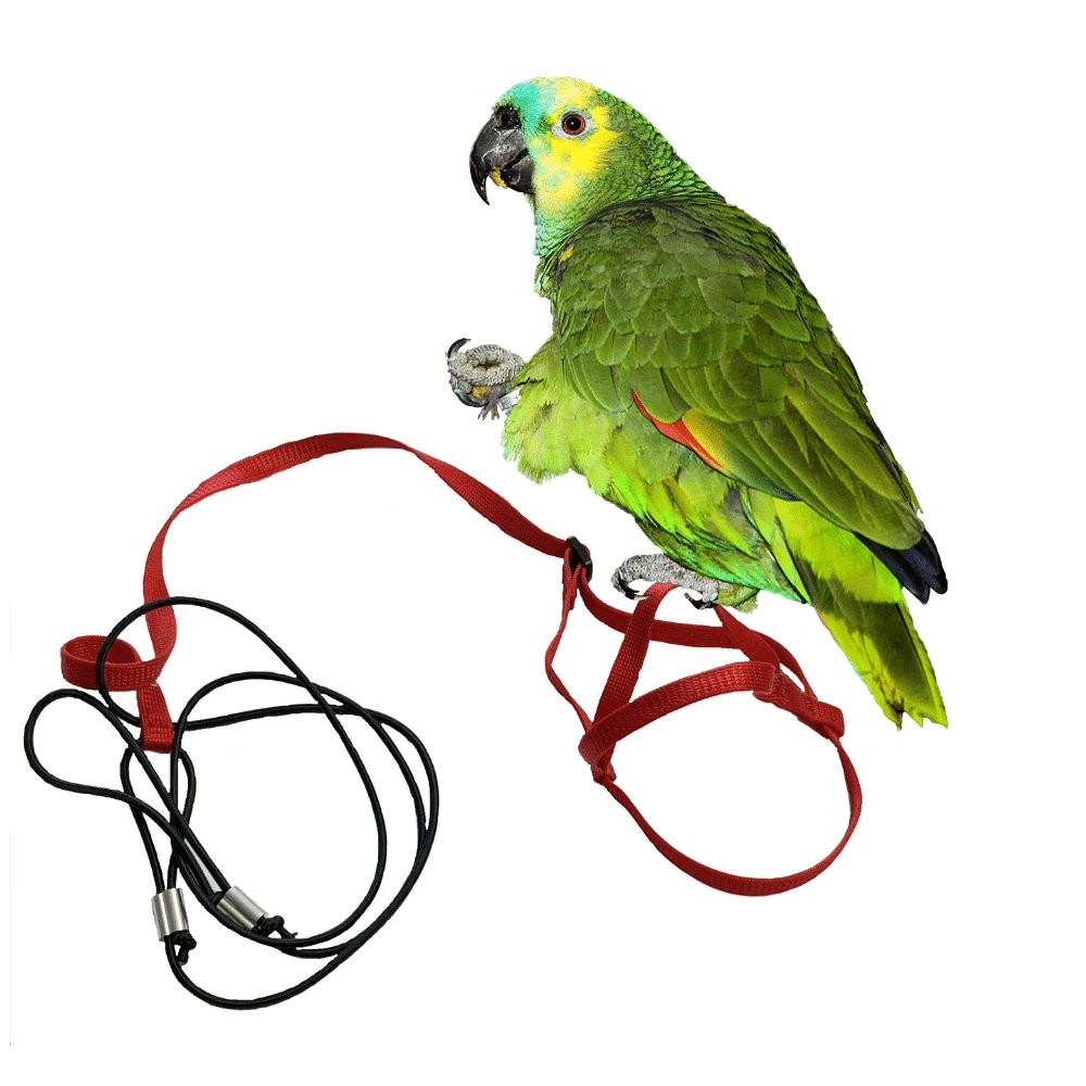 E-shop Traky pre papagáje S červené