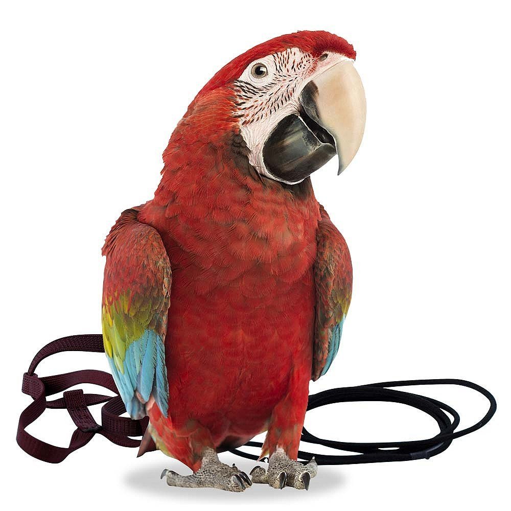 E-shop Traky pre papagáje XL čierne