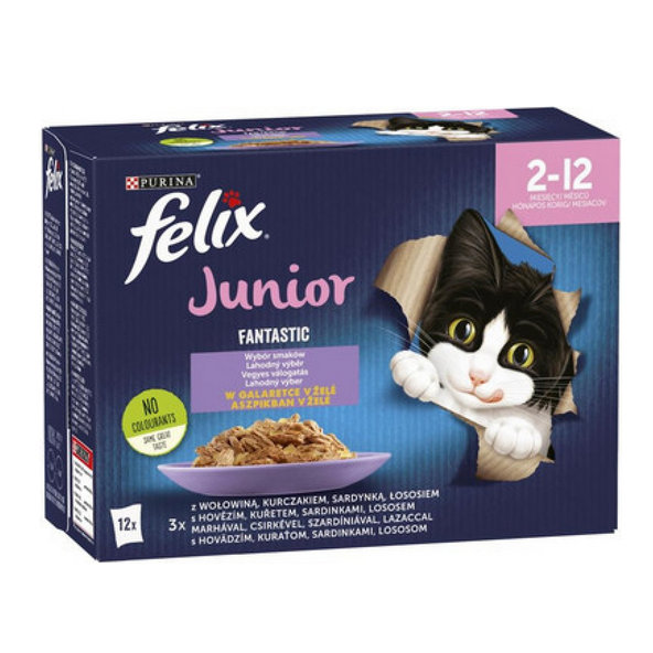 FELIX Fantastic cat Multipack junior (hovädzie,kura,sardinky,losos) v želé kapsička 12x85g