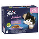 FELIX Fantastic cat Multipack junior (hovädzie,kura,sardinky,losos) v želé kapsička 12x85g