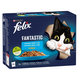 FELIX Fantastic cat Multipack výber z rýb v želé kapsičky pre mačky 12x85g