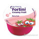 Fortini Creamy Fruit Multi Fibre príchuť červené ovocie 4x100 g