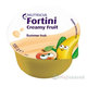 Fortini Creamy Fruit Multi Fibre príchuť letné ovocie 4x100 g