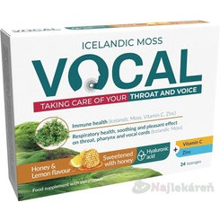 Vocal HA pastilky s príchuťou medu a citrónu 24 ks