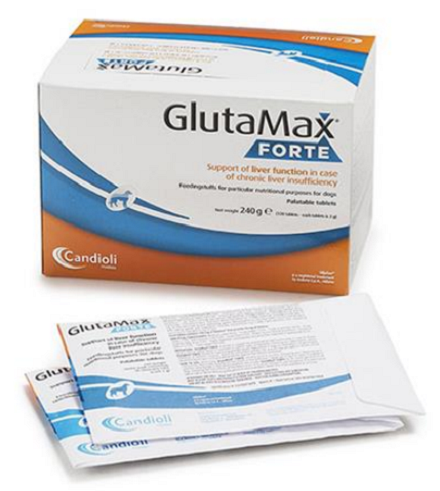 E-shop GlutaMax Forte na ochranu pečene pre psy 12x10tbl