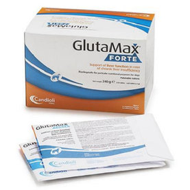 GlutaMax Forte na ochranu pečene pre psy 12x10tbl
