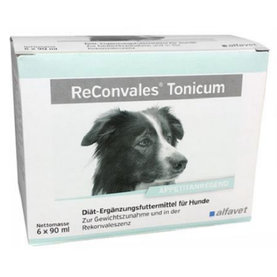 ReConvales Tonicum dog na podporu rekonvalescencie pre psy 6x90ml