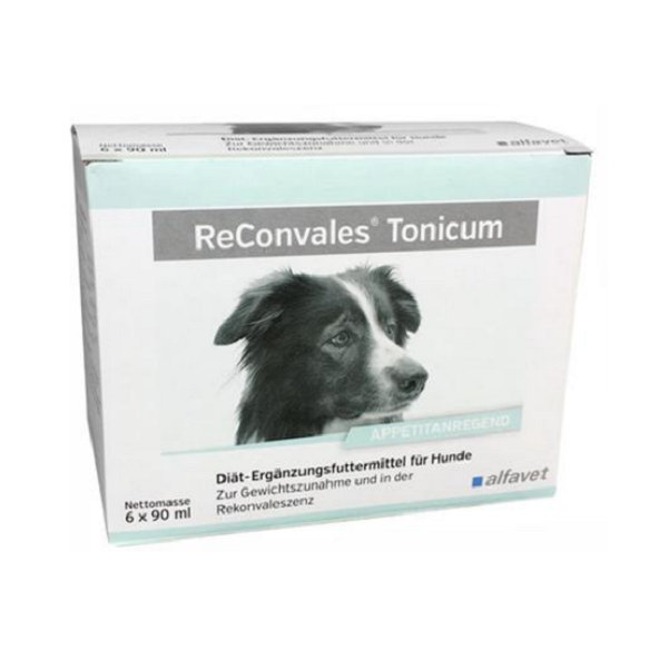 ReConvales Tonicum dog na podporu rekonvalescencie pre psy 6x90ml