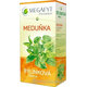 MEGAFYT Bylinková lekáreň MEDOVKA, 20x1,5g