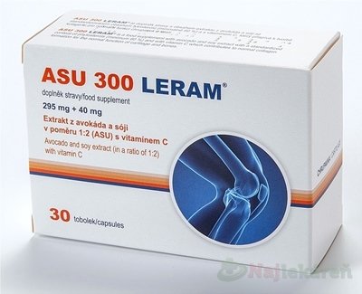 E-shop ASU 300 LERAM 30cps