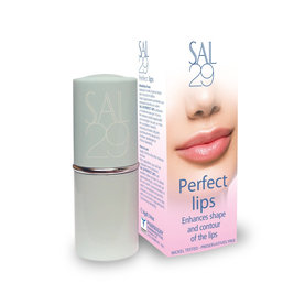 Dermaheal SAL 29 Perfect lips 4g