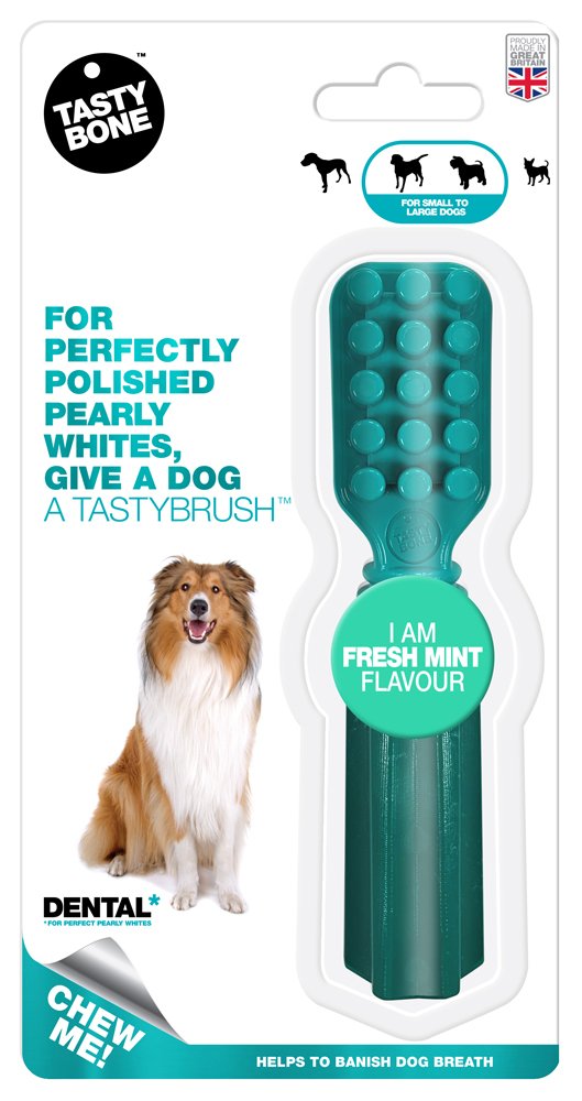 E-shop TASTY BONE Kefka pre psov nylonová s príchuťou Fresh Mint