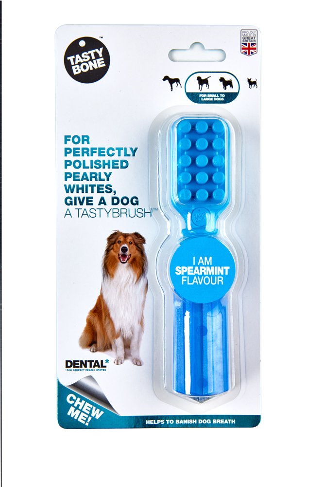 E-shop TASTY BONE Kefka pre psov nylonová s príchuťou Spearmint