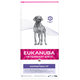 EUKANUBA VD Dog Dermatosis Dry granule pre psy 12kg