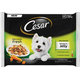 CESAR dog Selection mix v želé kapsičky pre psy 400g