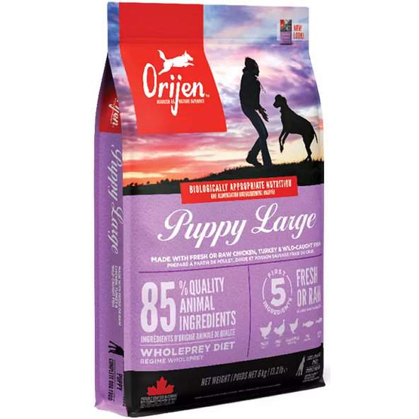 ORIJEN Dog Puppy Large Dry granule pre šteniatka 6kg