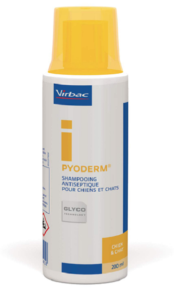 Pyodderrm Cream Pyoderm šampón pre psy a mačky 200ml | Najlekáreň.eu
