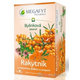 MEGAFYT Bylinková lekáreň RAKYTNÍK, 20x2g