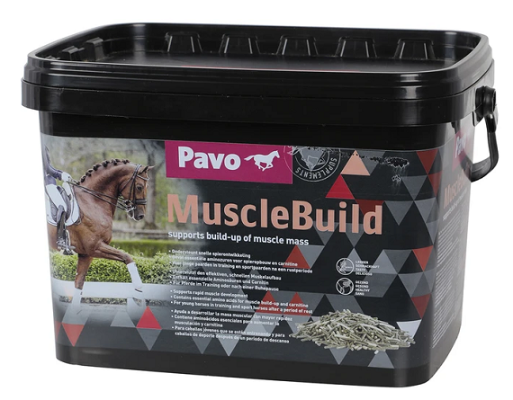E-shop PAVO MuscleBuild granule pre kone 3kg