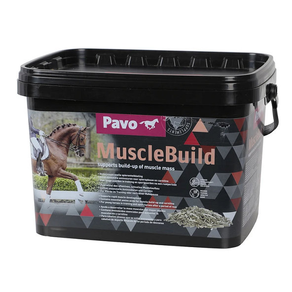 PAVO MuscleBuild granule pre kone 3kg