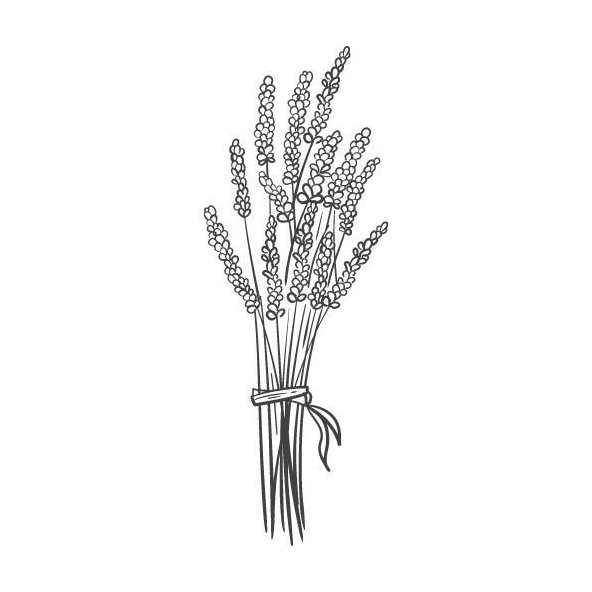 Levanduľový olej 100% Bio Alteya 10 ml