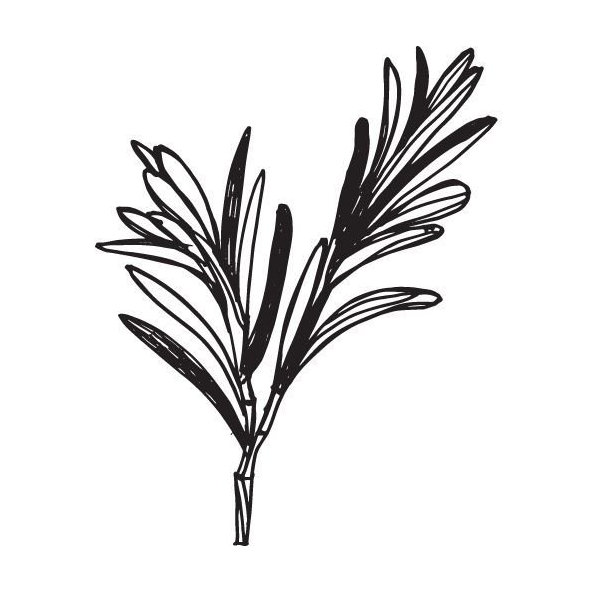 Rozmarínový olej 100% Bio Alteya 5 ml