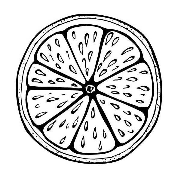 Grapefruitový olej 100% Bio Alteya 10 ml