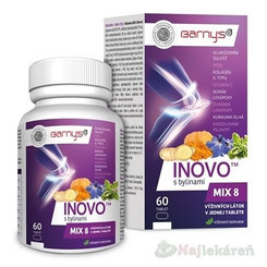 Barny's INOVO s bylinami MIX8, kĺbová výživa, 60 tbl