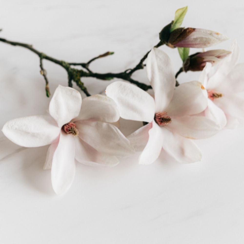 E-shop Sprchový krém Magnolia AROMA NATURAL 400 ml