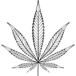 Konopný olej 100% Bio Alteya 50 ml