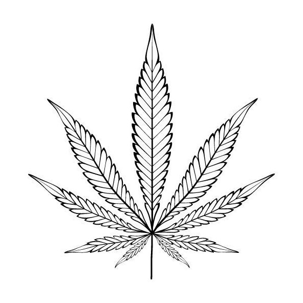 Konopný olej 100% Bio Alteya 50 ml