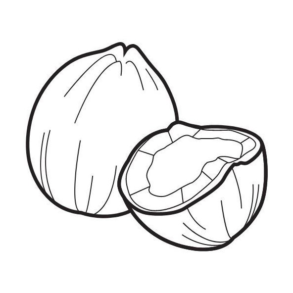 Kokosový olej 100% Bio Alteya 200 ml