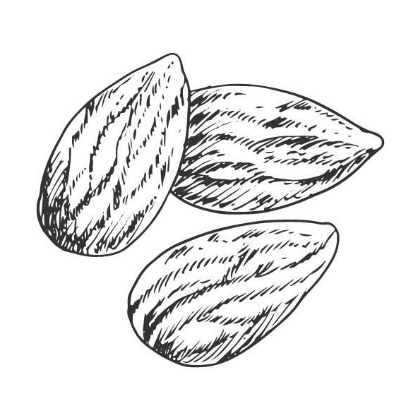 Mandľový olej 100% Bio Alteya 100 ml