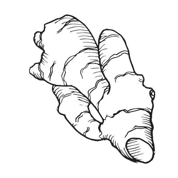 Zázvorový olej 100% Bio Alteya 10 ml