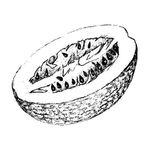 Tekvicový olej 100% Bio Alteya 50 ml