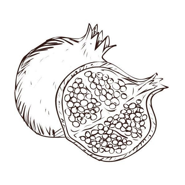 Olej z granátového jablka 100% Bio Alteya 50 ml