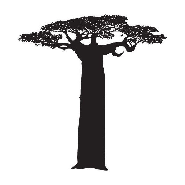 Olej z baobabu 100% Bio Alteya 50 ml