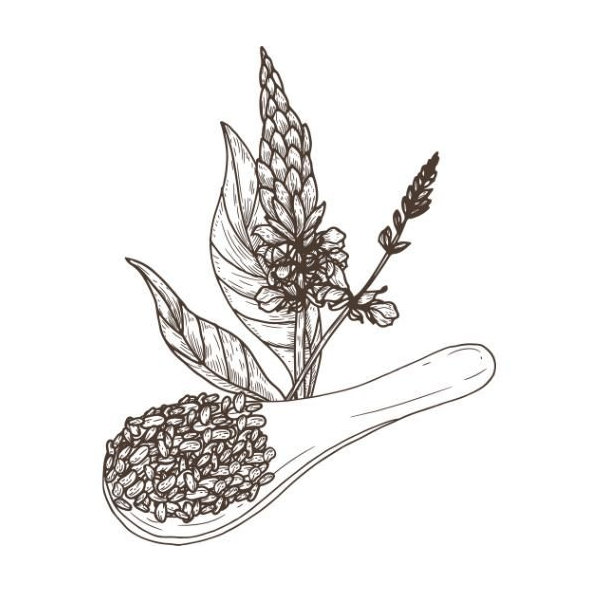 Olej z chia semienok 100% Bio Alteya 50 ml