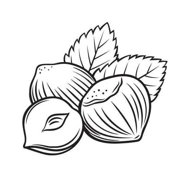 Lieskový olej 100% Bio Alteya 50 ml