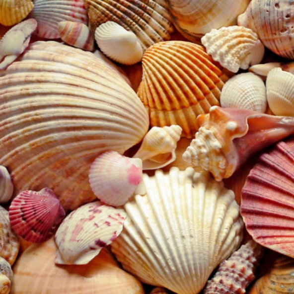 Mydlo na ruky - zázračná modrá Aroma 500 ml