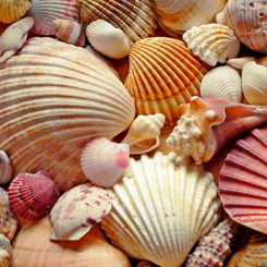 Mydlo na ruky - zázračná modrá Aroma 900 ml