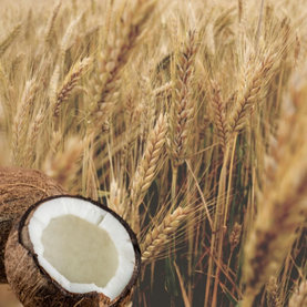 Kondicionér na poškodené vlasy Wheat & Coconut Milk Aroma 400 ml