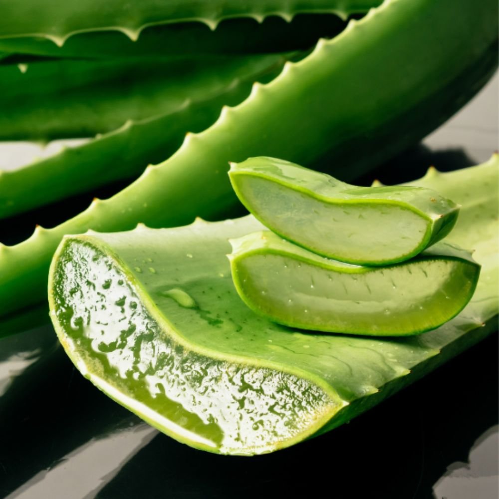 E-shop Gél na intímnu hygienu Aloe vera Aroma 250 ml