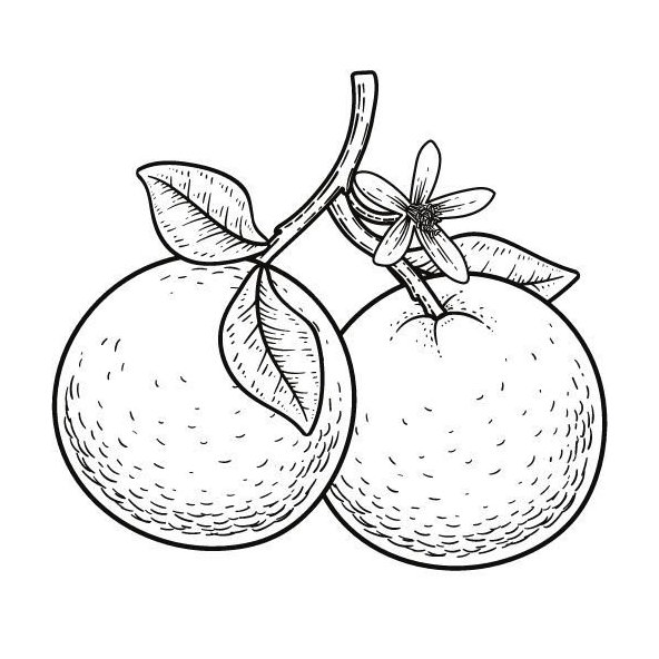 Pomarančový olej 100% BIO Alteya Organics 5 ml