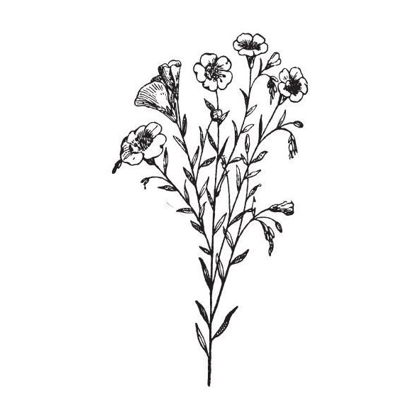 Ľanový olej 100% BIO Alteya Organics 100 ml