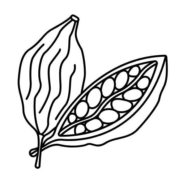 Kardamonový olej 100 % BIO Alteya 5ml