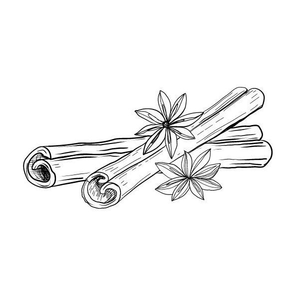 Olej zo škorice cejlónskej (listy) 100% Bio Alteya 5 ml